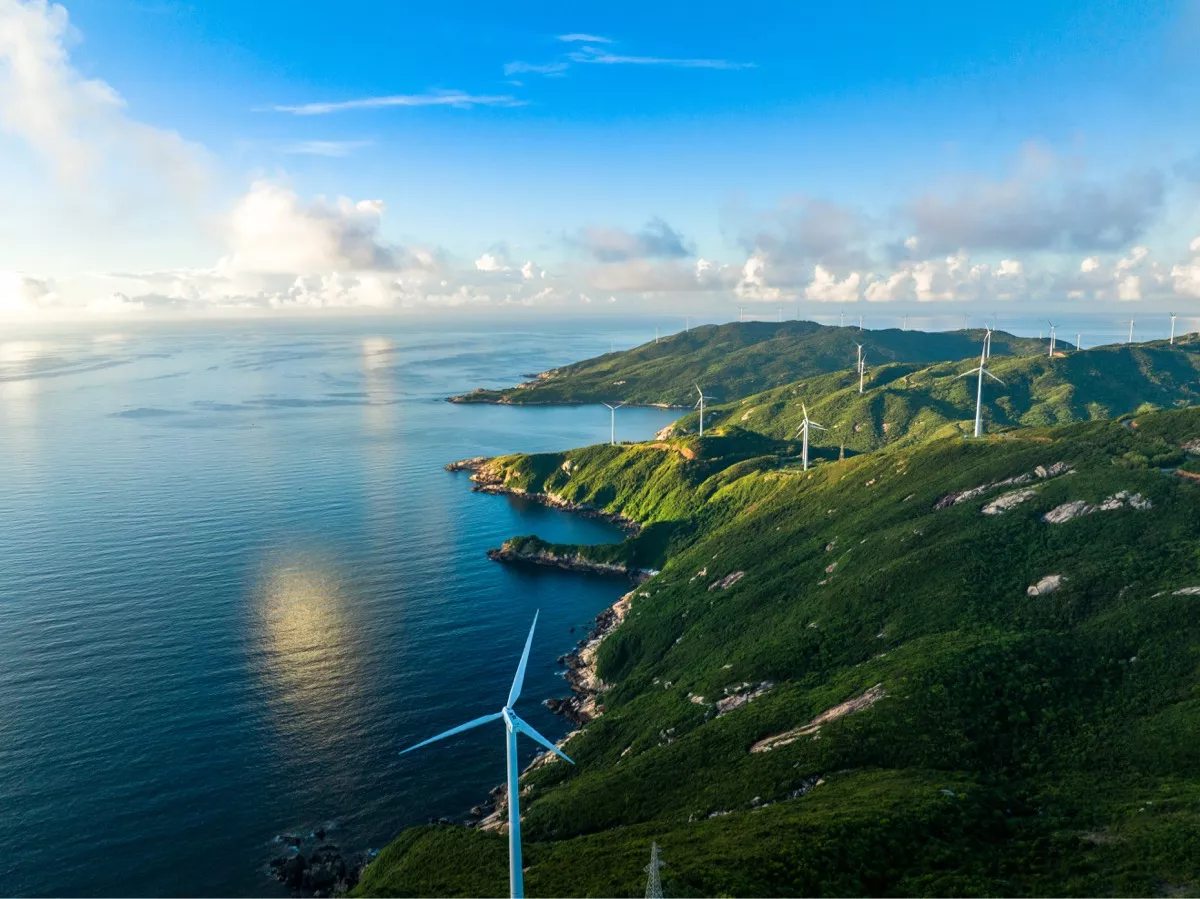 Environmental Impact